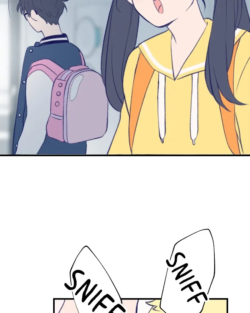Nice to Meet You (Wishroomness) Chapter 13 page 5 - 