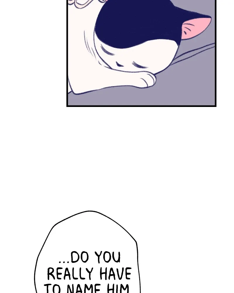 Nice to Meet You (Wishroomness) Chapter 13 page 92 - 