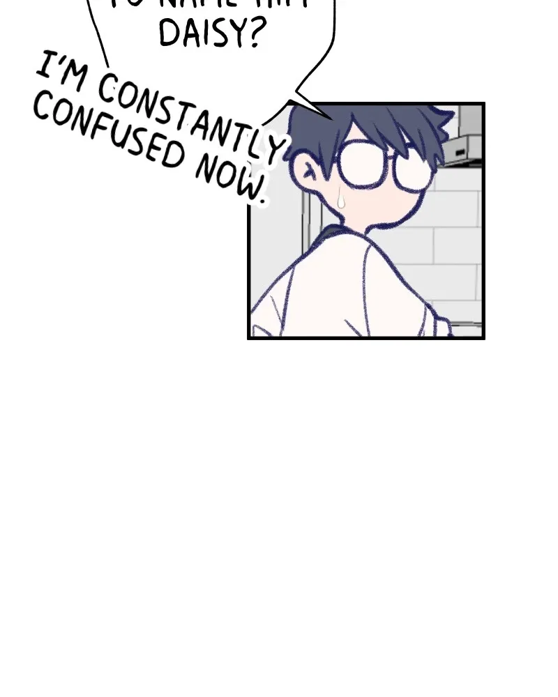 Nice to Meet You (Wishroomness) Chapter 13 page 93 - 