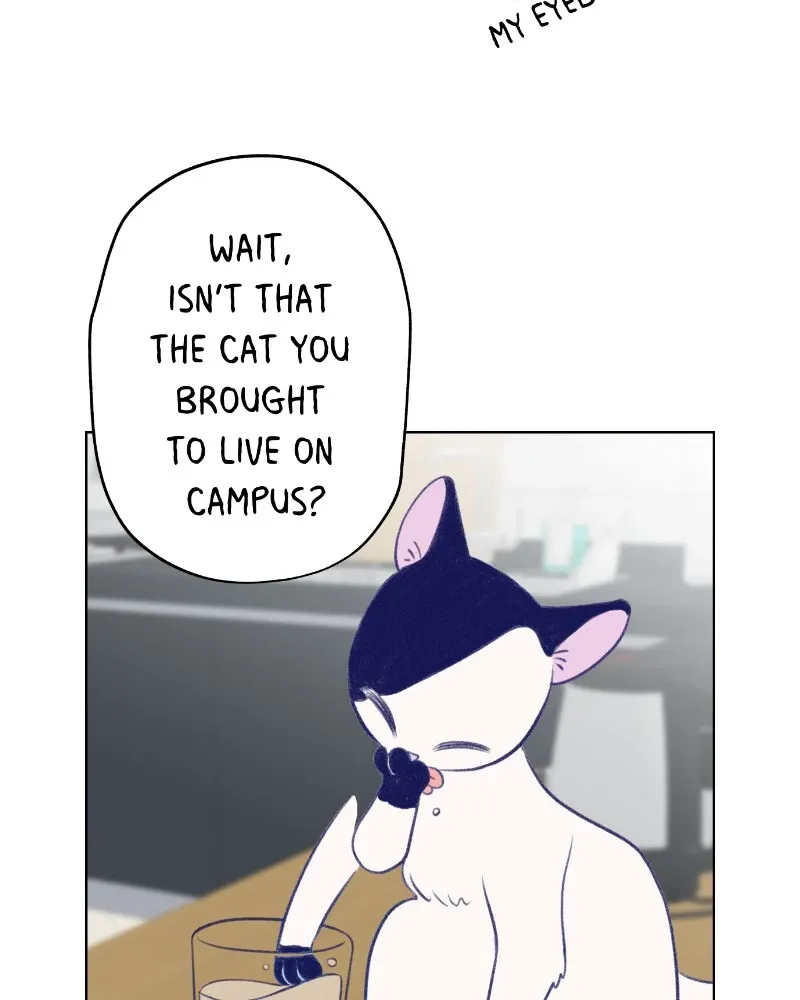 Nice to Meet You (Wishroomness) Chapter 14 page 36 - 