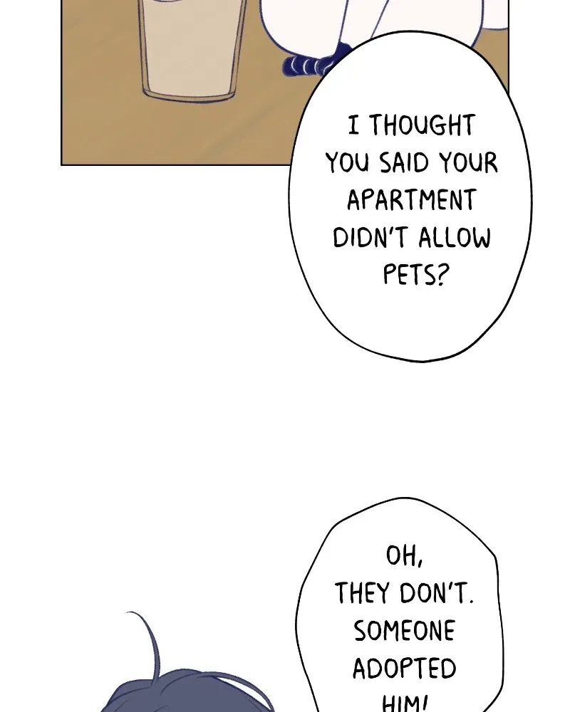 Nice to Meet You (Wishroomness) Chapter 14 page 37 - 
