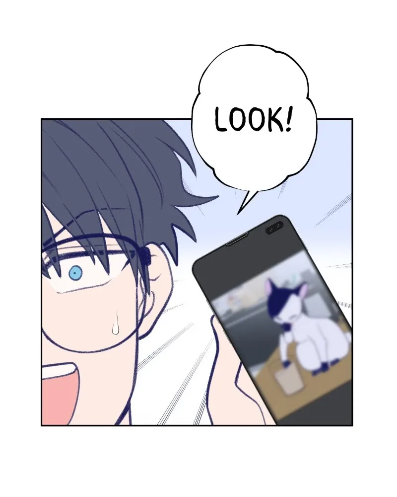 Nice to Meet You (Wishroomness) Chapter 16 page 25 - 