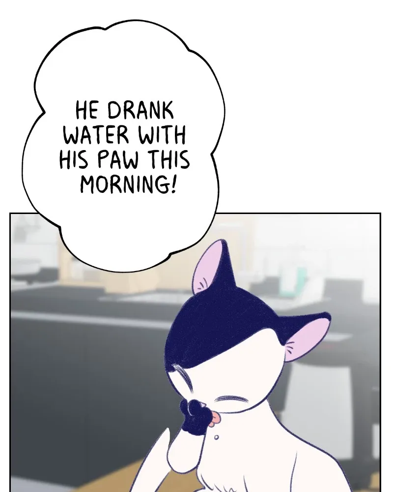 Nice to Meet You (Wishroomness) Chapter 16 page 26 - 