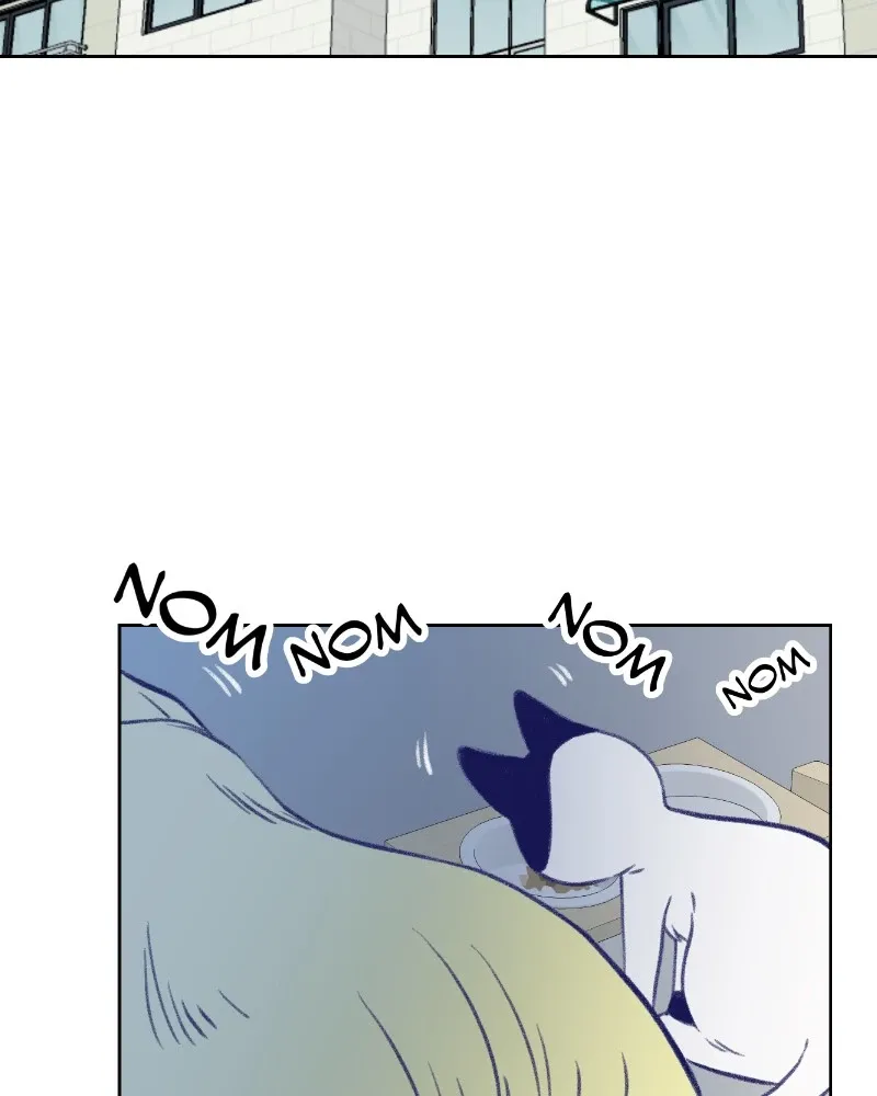 Nice to Meet You (Wishroomness) Chapter 18 page 104 - 