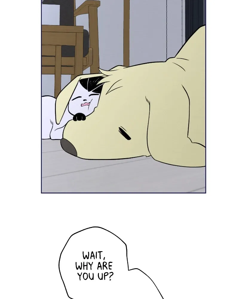 Nice to Meet You (Wishroomness) Chapter 46 page 17 - 