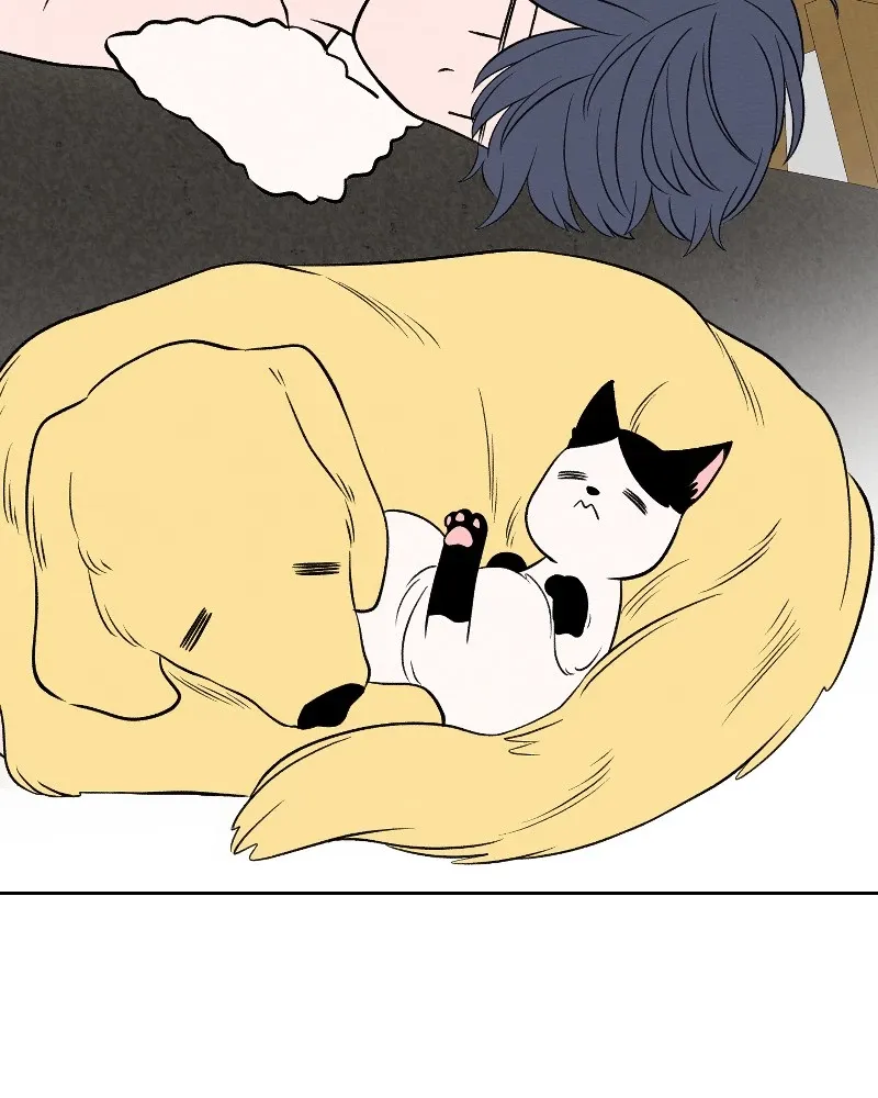 Nice to Meet You (Wishroomness) Chapter 67 page 82 - 