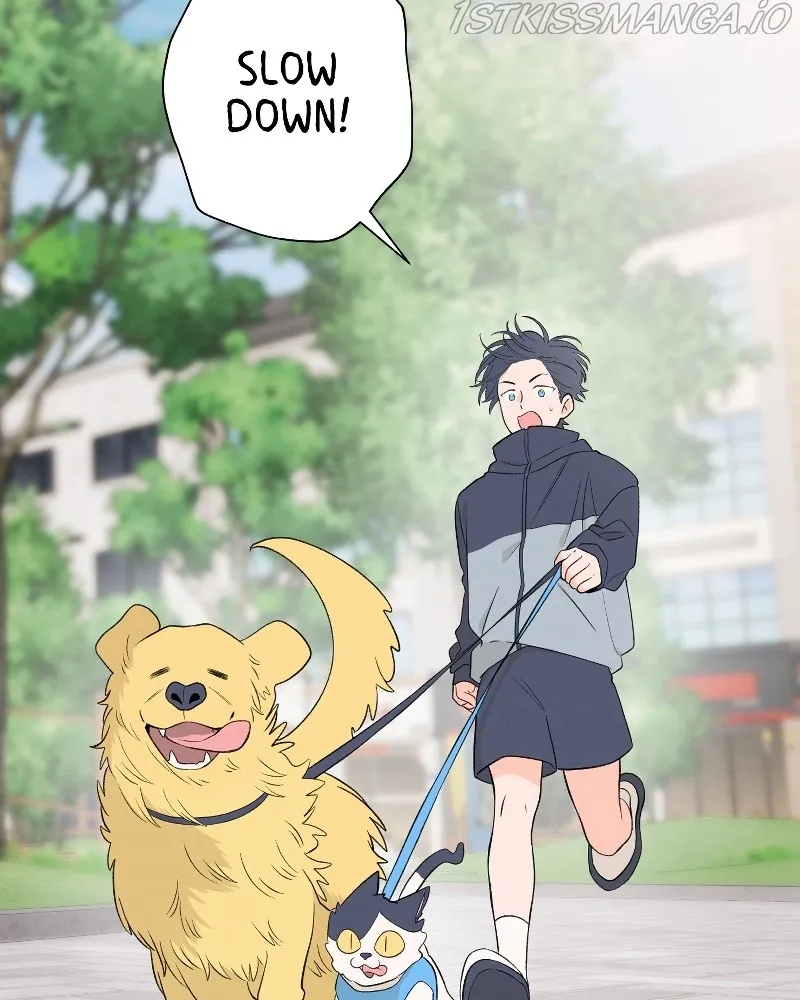 Nice to Meet You (Wishroomness) Chapter 72 page 41 - 