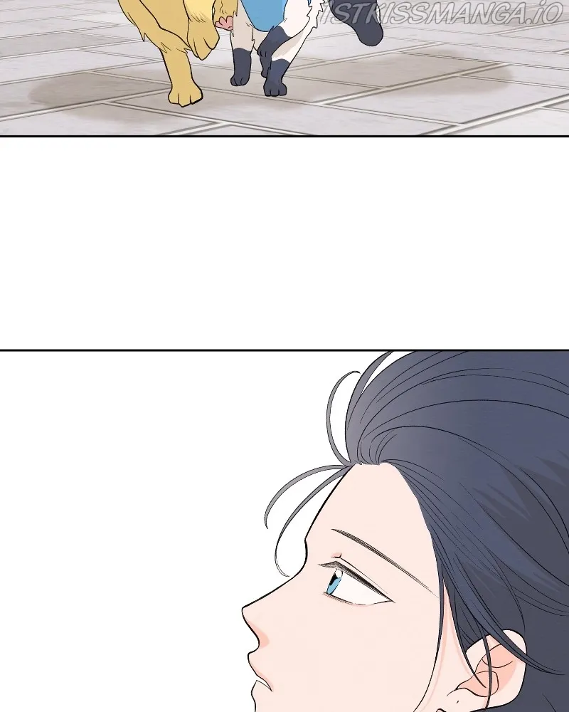 Nice to Meet You (Wishroomness) Chapter 72 page 42 - 