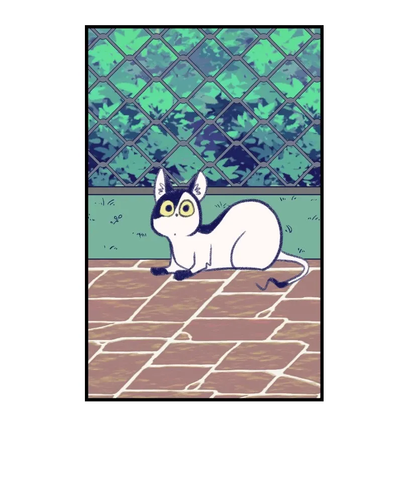 Nice to Meet You (Wishroomness) Chapter 8 page 11 - 