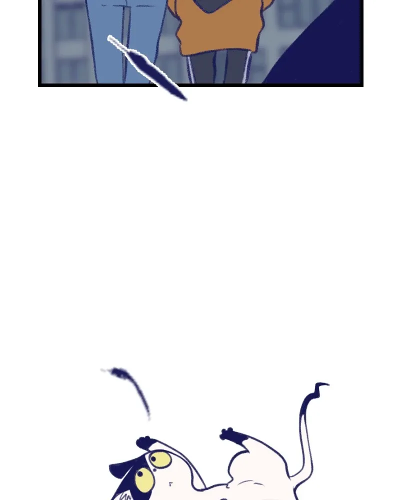 Nice to Meet You (Wishroomness) Chapter 8 page 16 - 