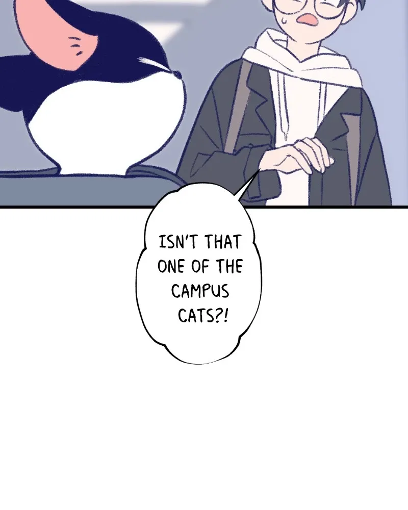 Nice to Meet You (Wishroomness) Chapter 9 page 42 - 