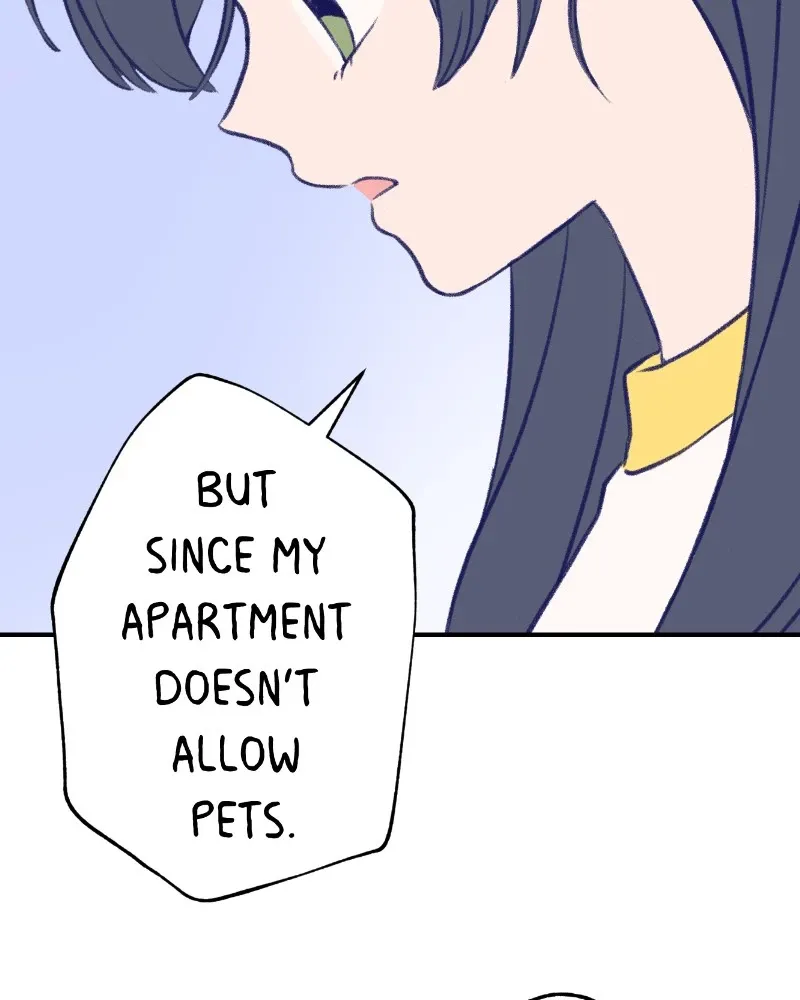 Nice to Meet You (Wishroomness) Chapter 9 page 54 - 