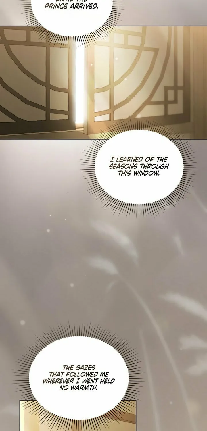 Night Journey Chapter 28 page 47 - 
