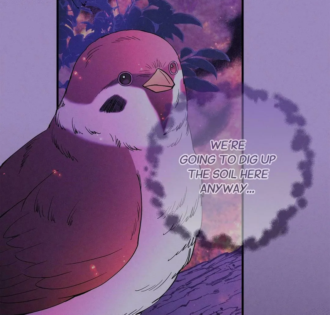 Night of the Unmarked Chapter 37 page 124 - 