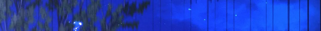 Night of the Unmarked Chapter 49 page 122 - 