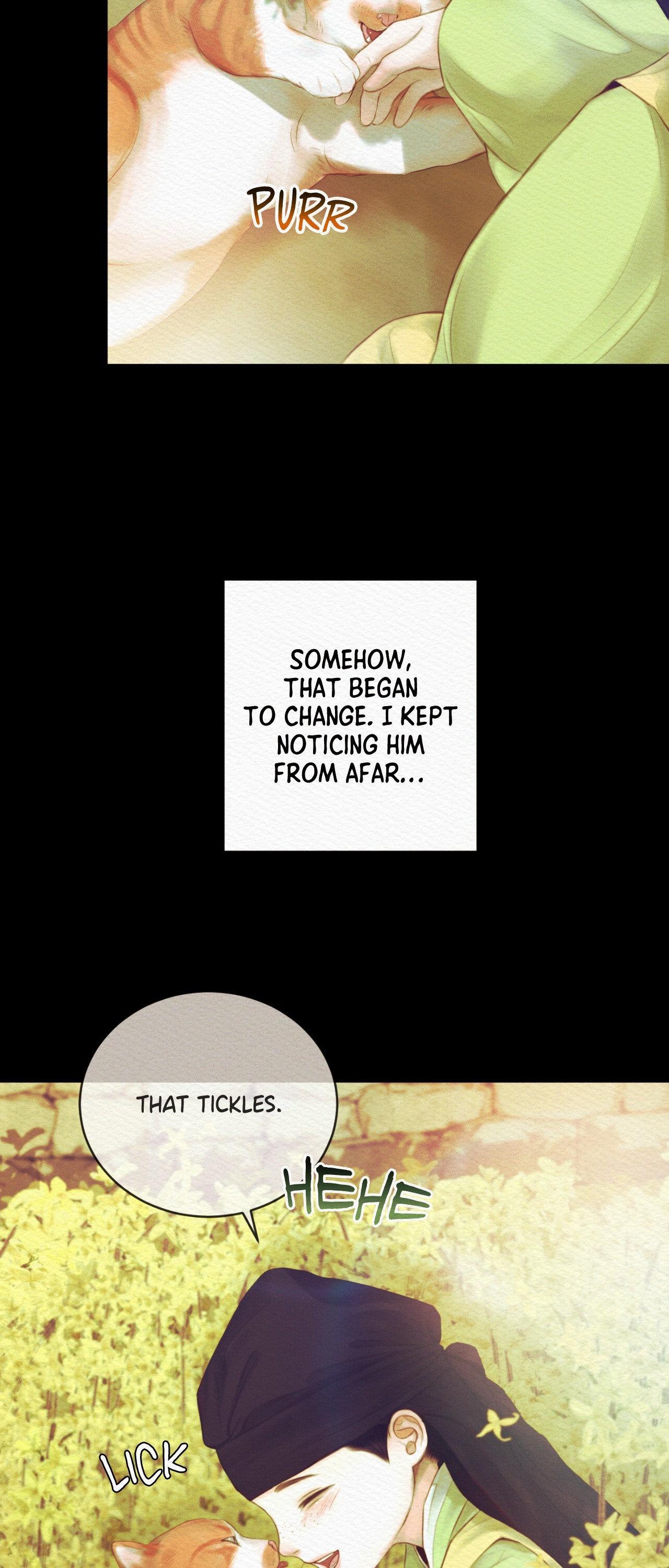 Night Song Chapter 88 page 36 - 