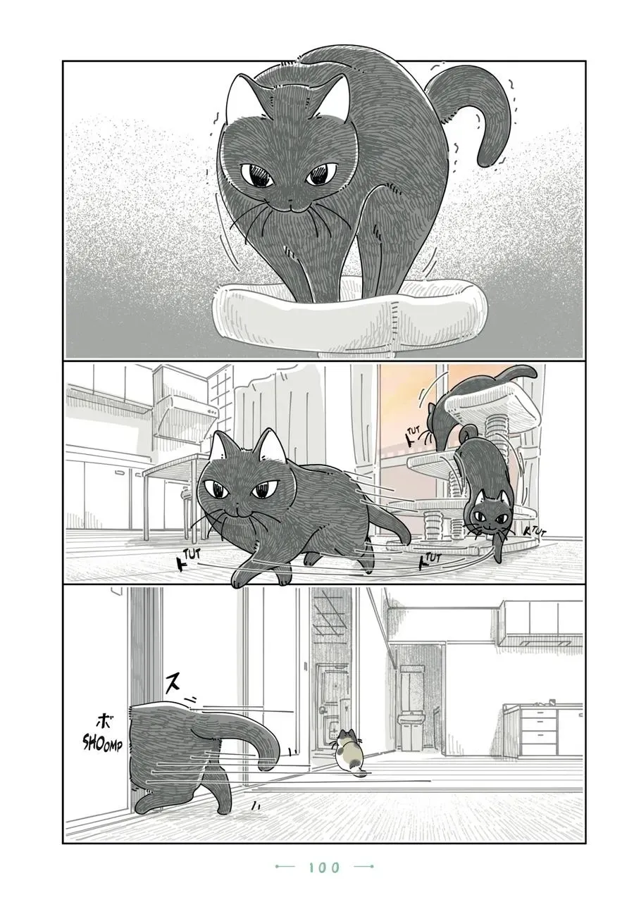 Nights With a Cat Chapter 0 page 101 - 