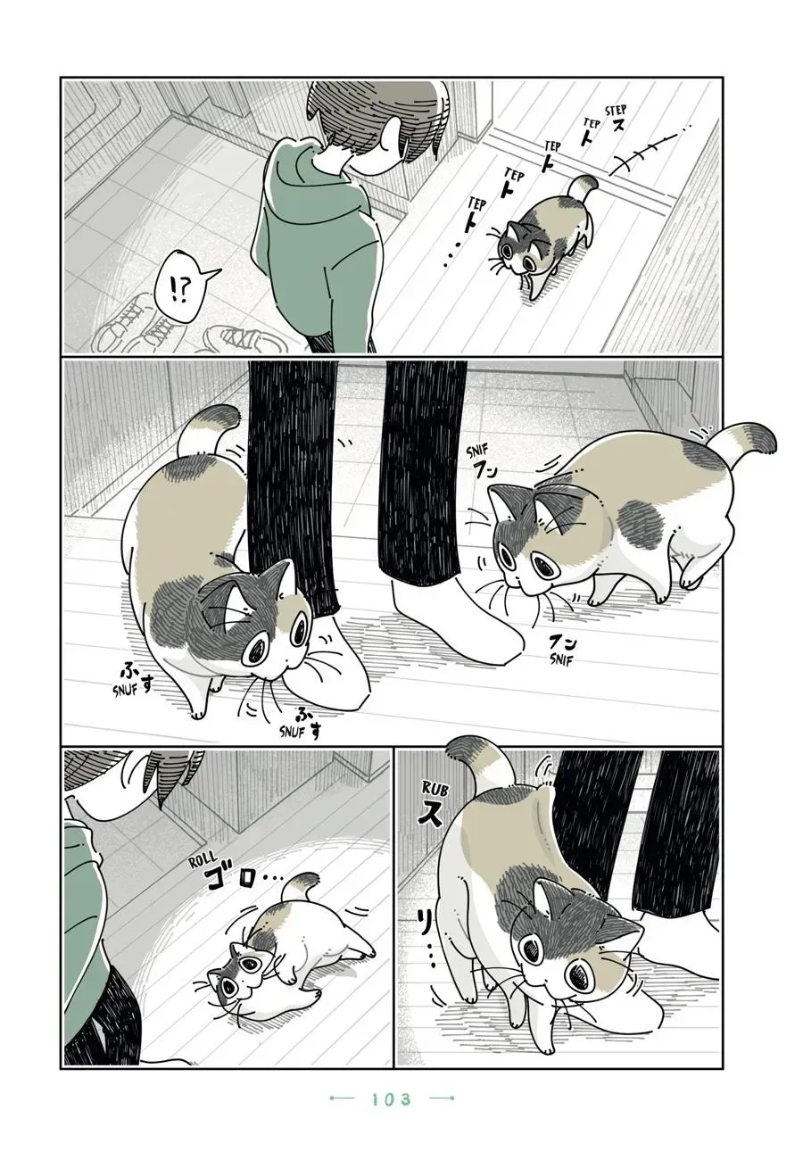 Nights With a Cat Chapter 0 page 104 - 