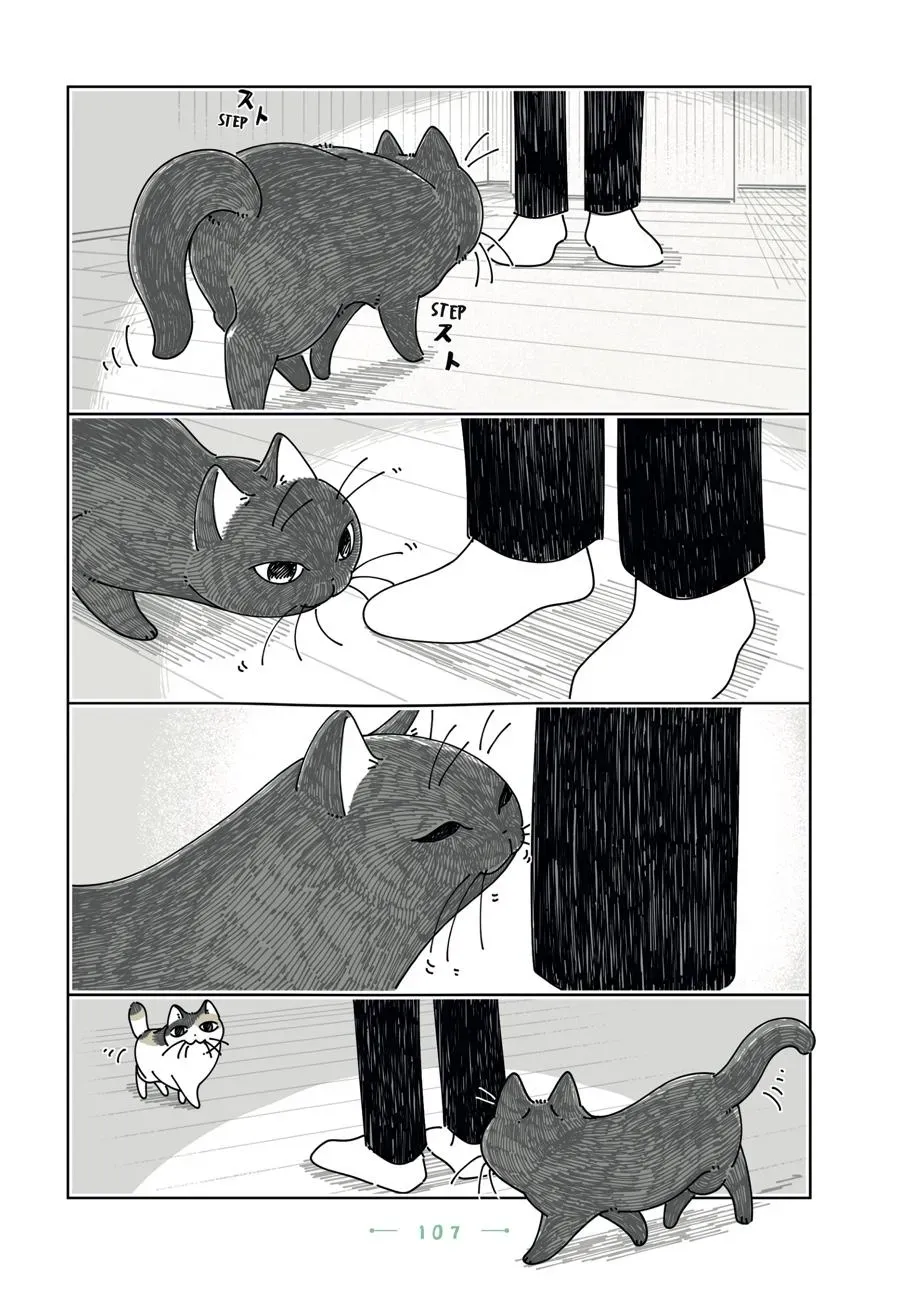 Nights With a Cat Chapter 0 page 108 - 