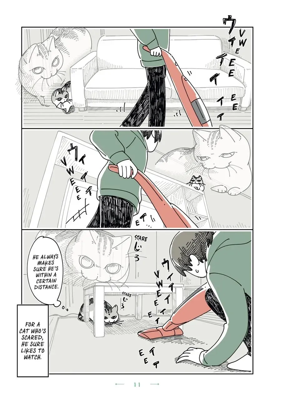 Nights With a Cat Chapter 0 page 12 - 