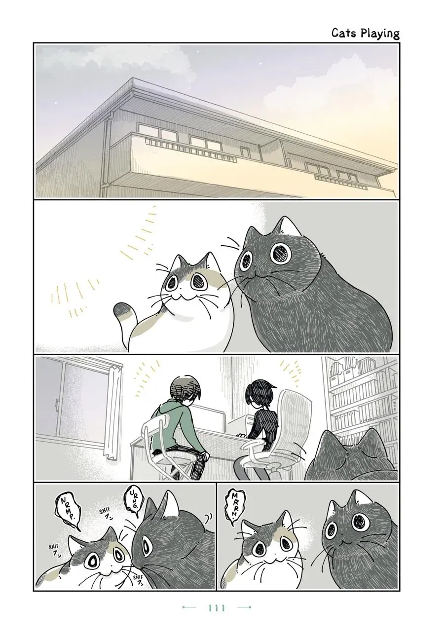 Nights With a Cat Chapter 0 page 112 - 