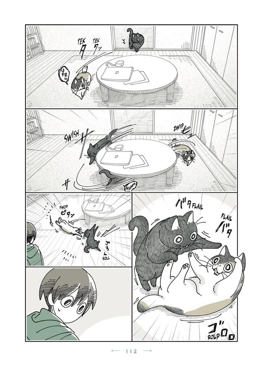 Nights With a Cat Chapter 0 page 113 - 