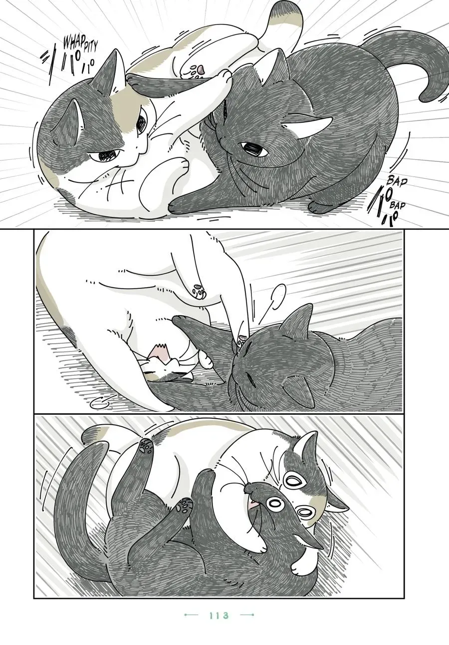 Nights With a Cat Chapter 0 page 114 - 