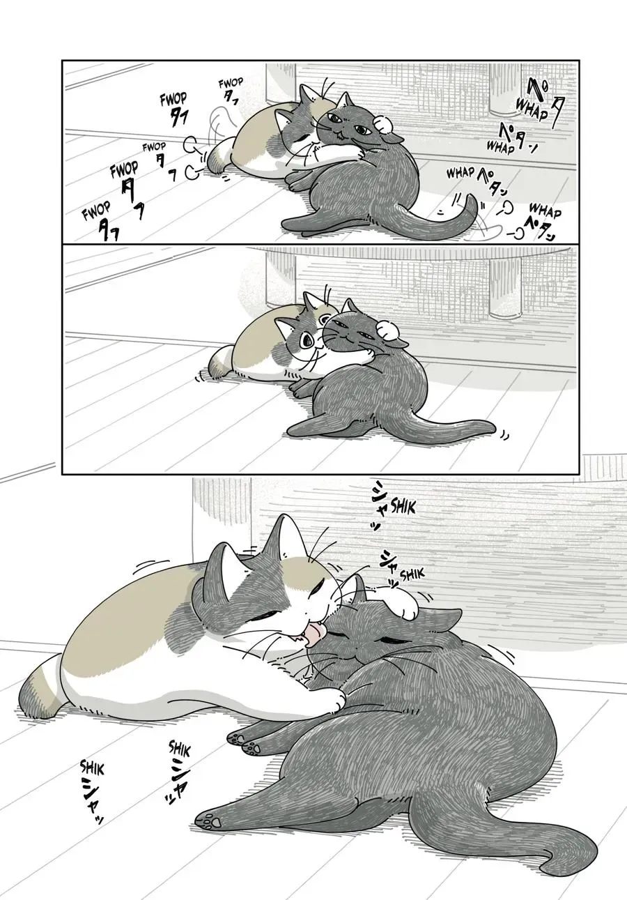 Nights With a Cat Chapter 0 page 115 - 