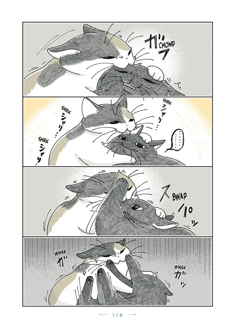 Nights With a Cat Chapter 0 page 117 - 