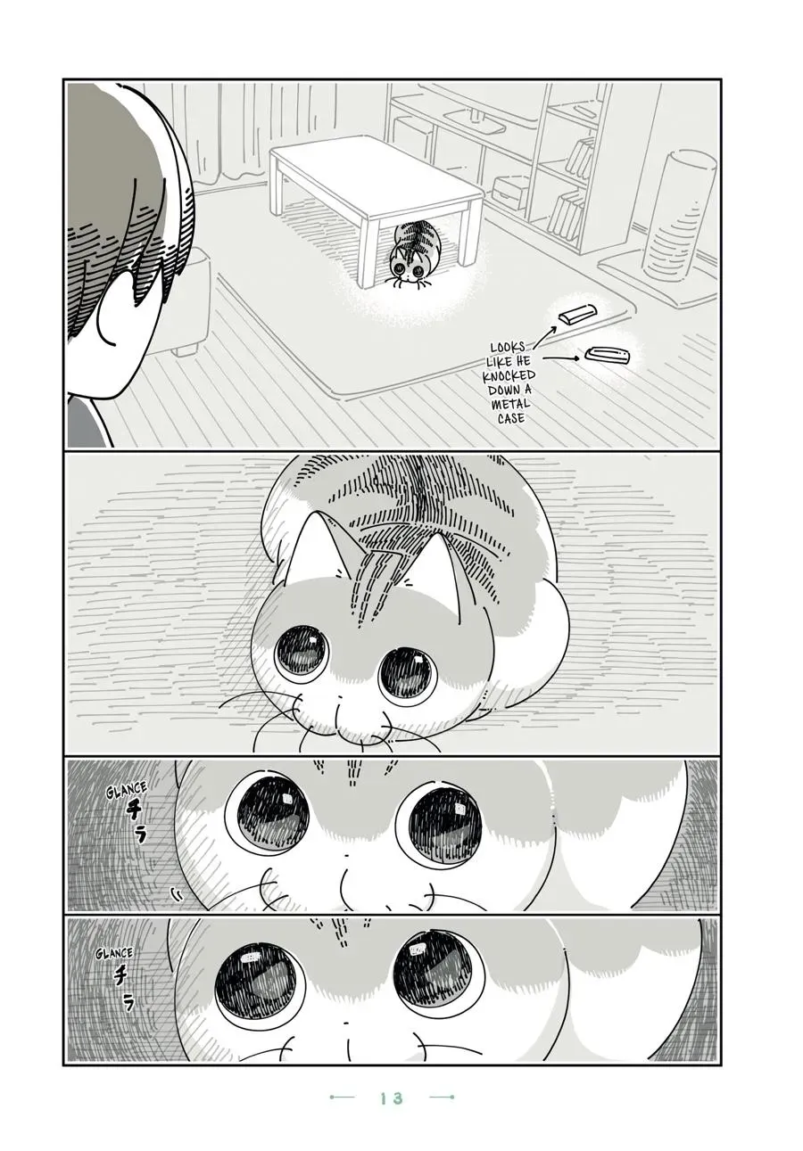 Nights With a Cat Chapter 0 page 14 - 