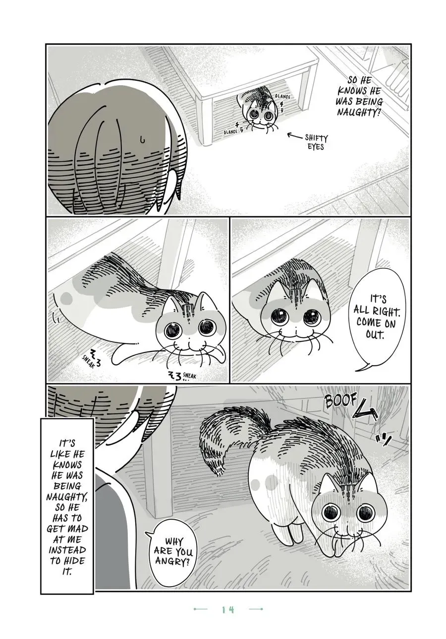 Nights With a Cat Chapter 0 page 15 - 