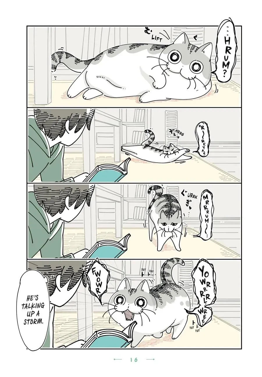 Nights With a Cat Chapter 0 page 17 - 