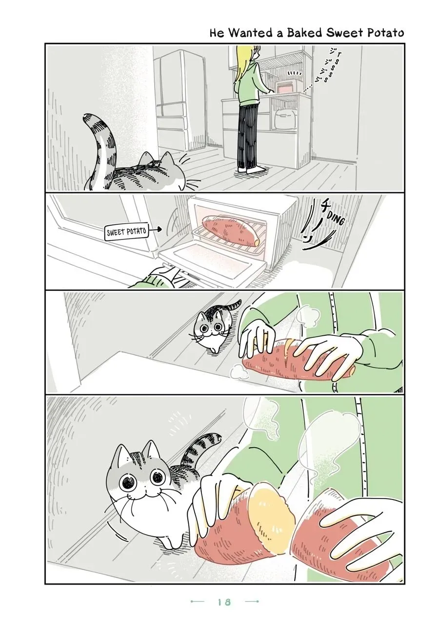 Nights With a Cat Chapter 0 page 19 - 