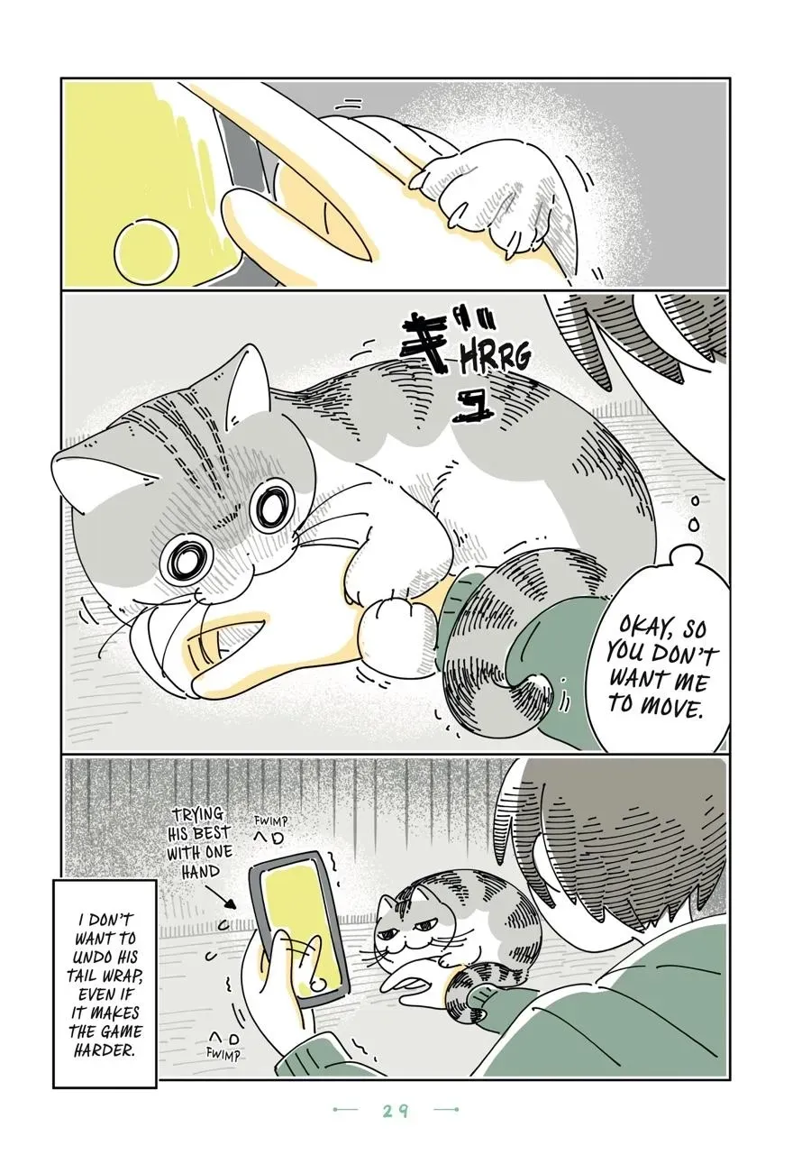Nights With a Cat Chapter 0 page 30 - 