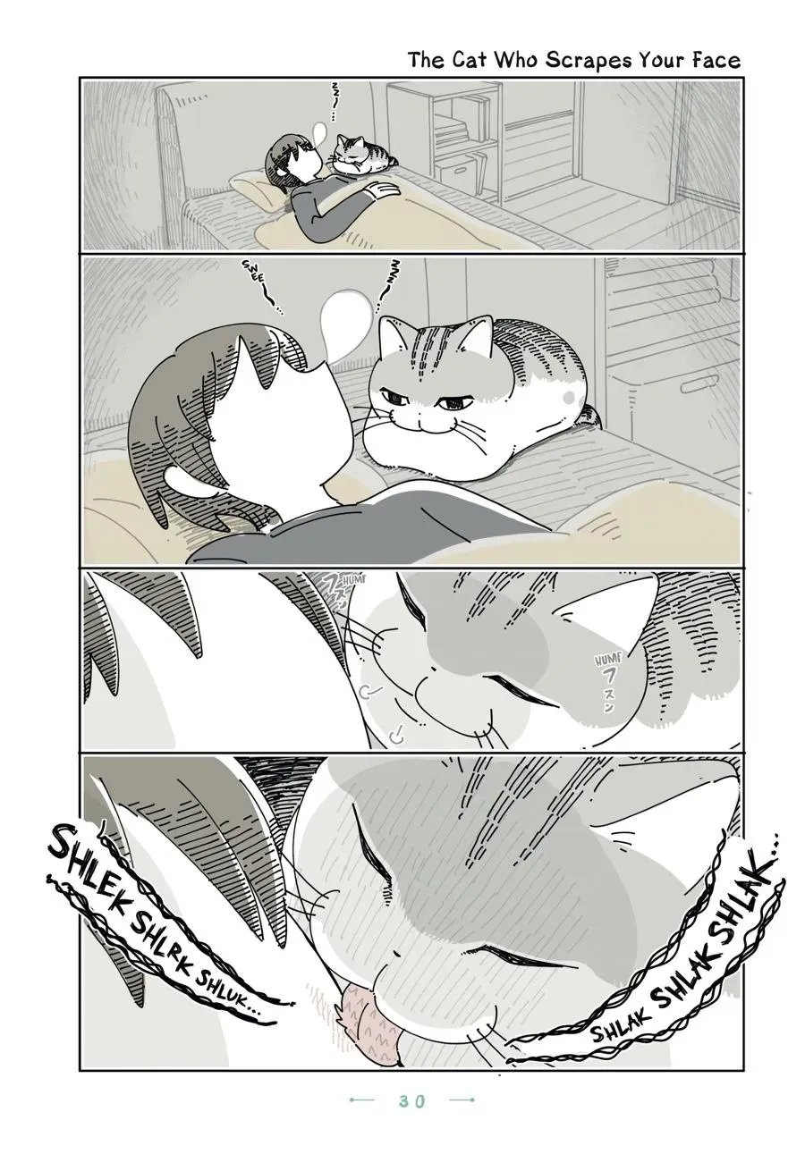 Nights With a Cat Chapter 0 page 31 - 