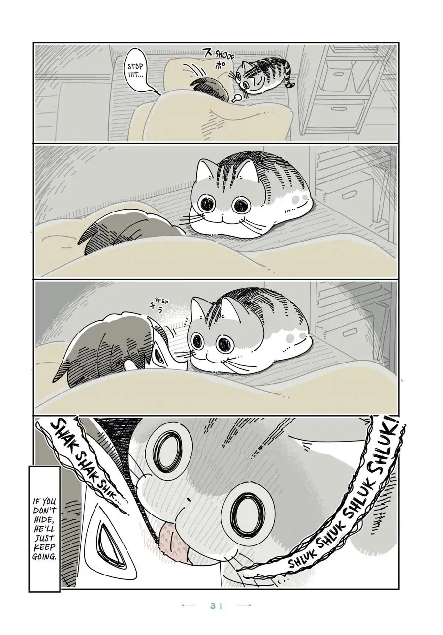 Nights With a Cat Chapter 0 page 32 - 