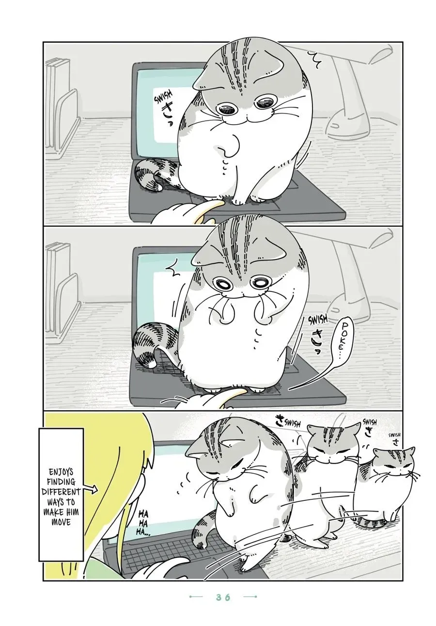 Nights With a Cat Chapter 0 page 37 - 
