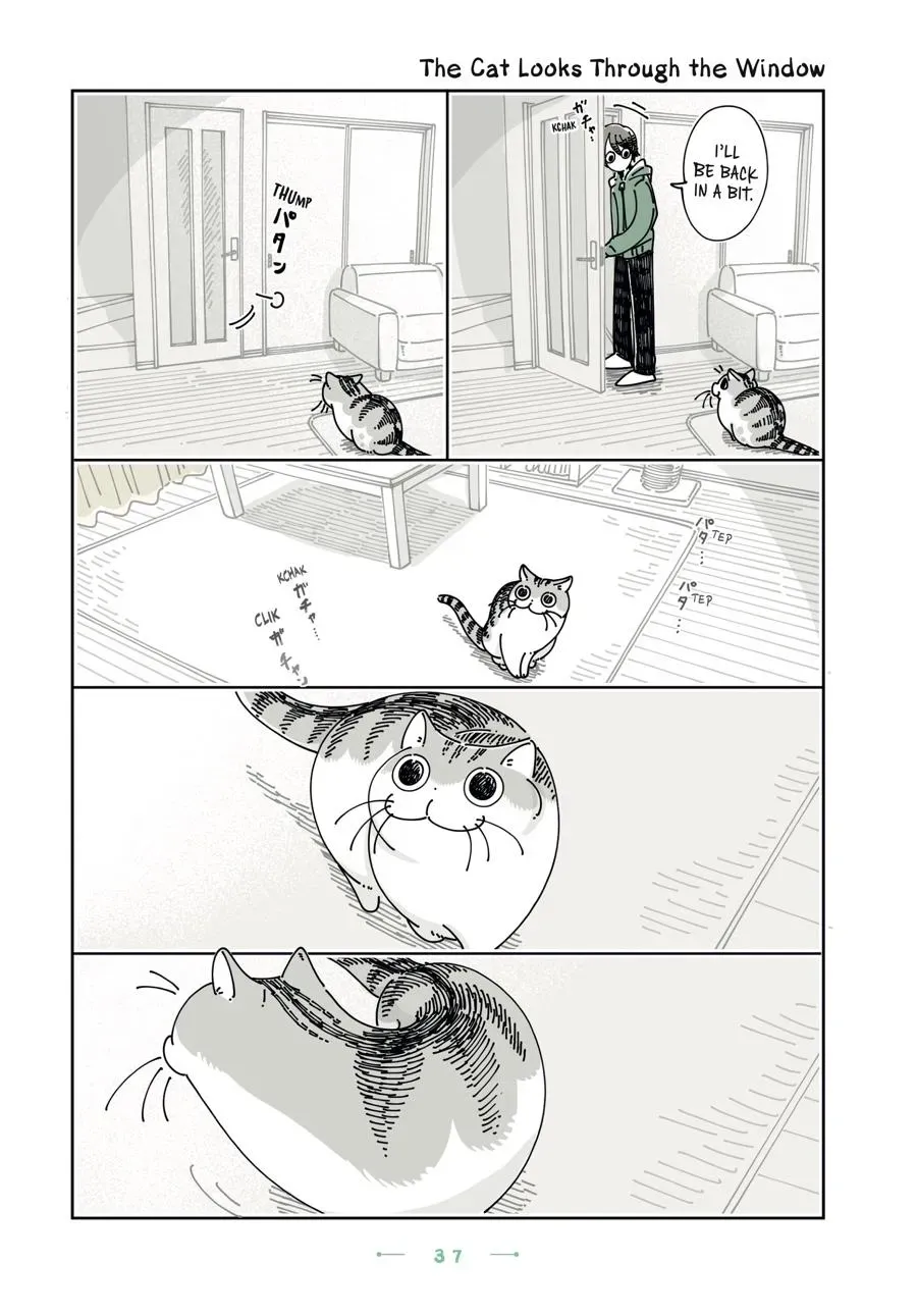 Nights With a Cat Chapter 0 page 38 - 