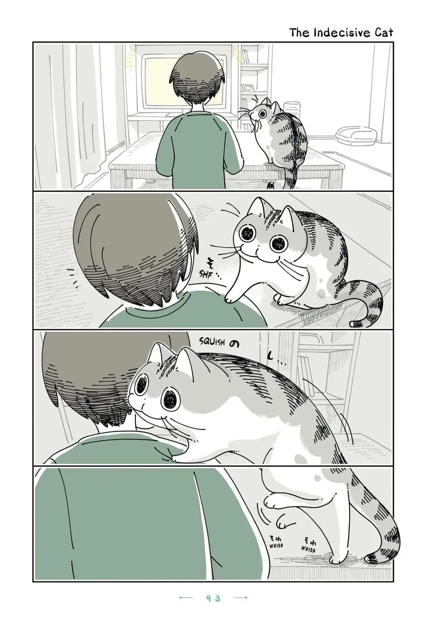 Nights With a Cat Chapter 0 page 44 - 