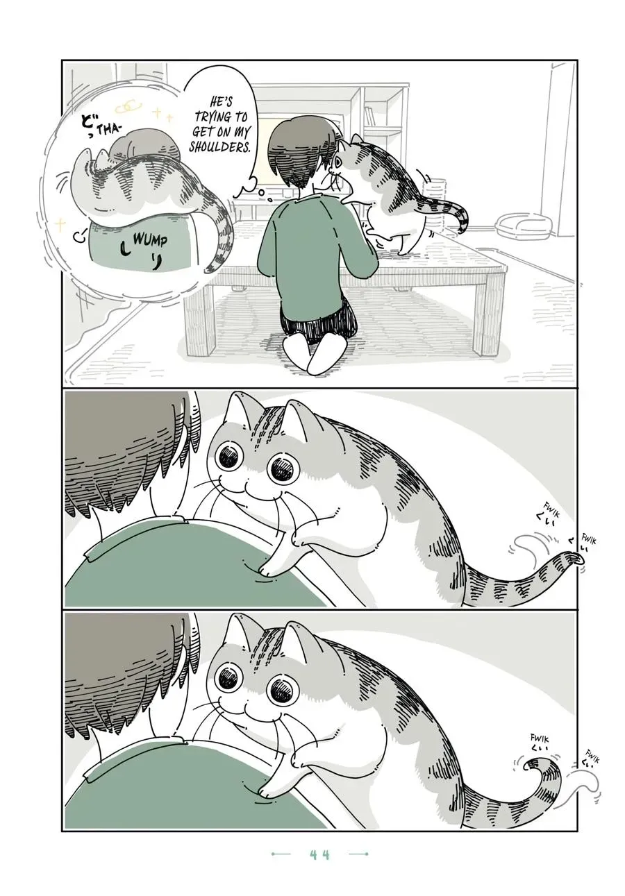 Nights With a Cat Chapter 0 page 45 - 