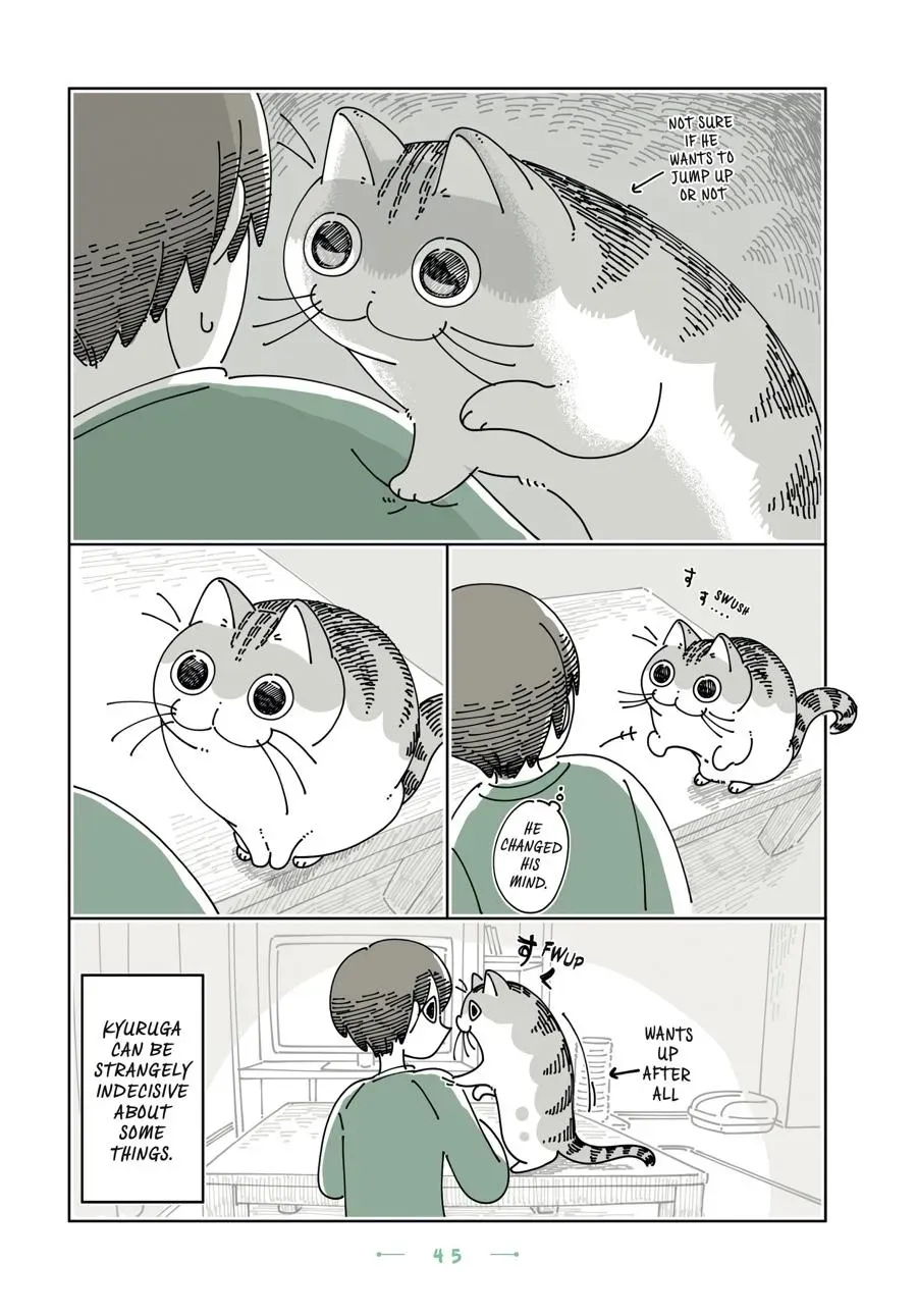 Nights With a Cat Chapter 0 page 46 - 