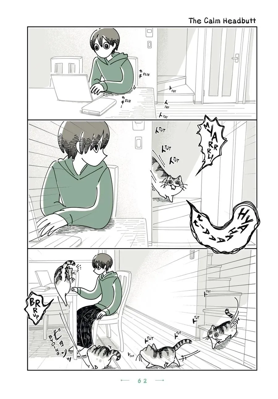 Nights With a Cat Chapter 0 page 63 - 
