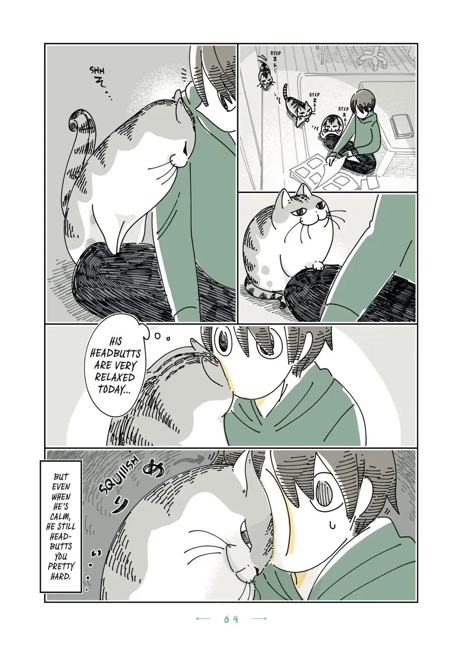 Nights With a Cat Chapter 0 page 65 - 