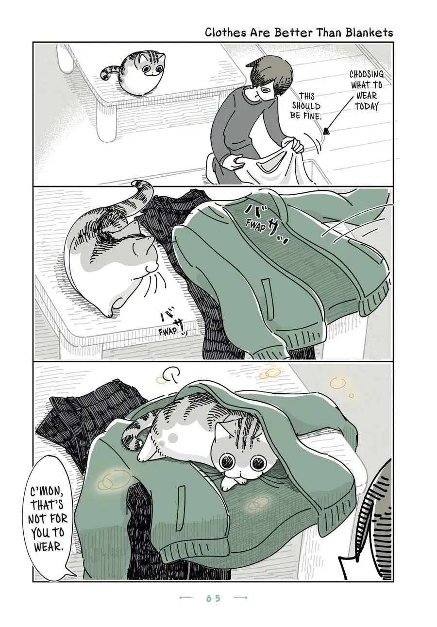 Nights With a Cat Chapter 0 page 66 - 
