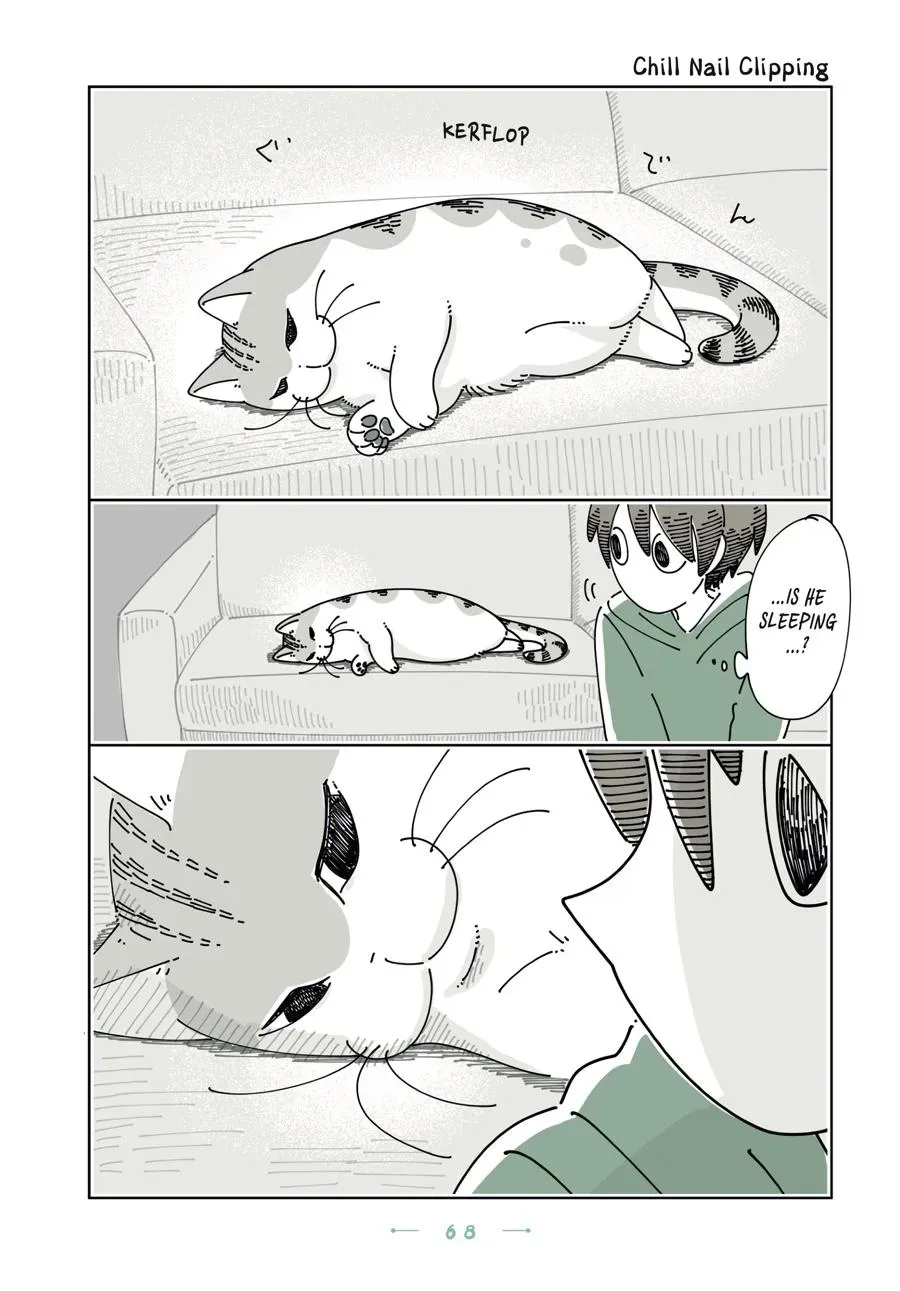 Nights With a Cat Chapter 0 page 69 - 