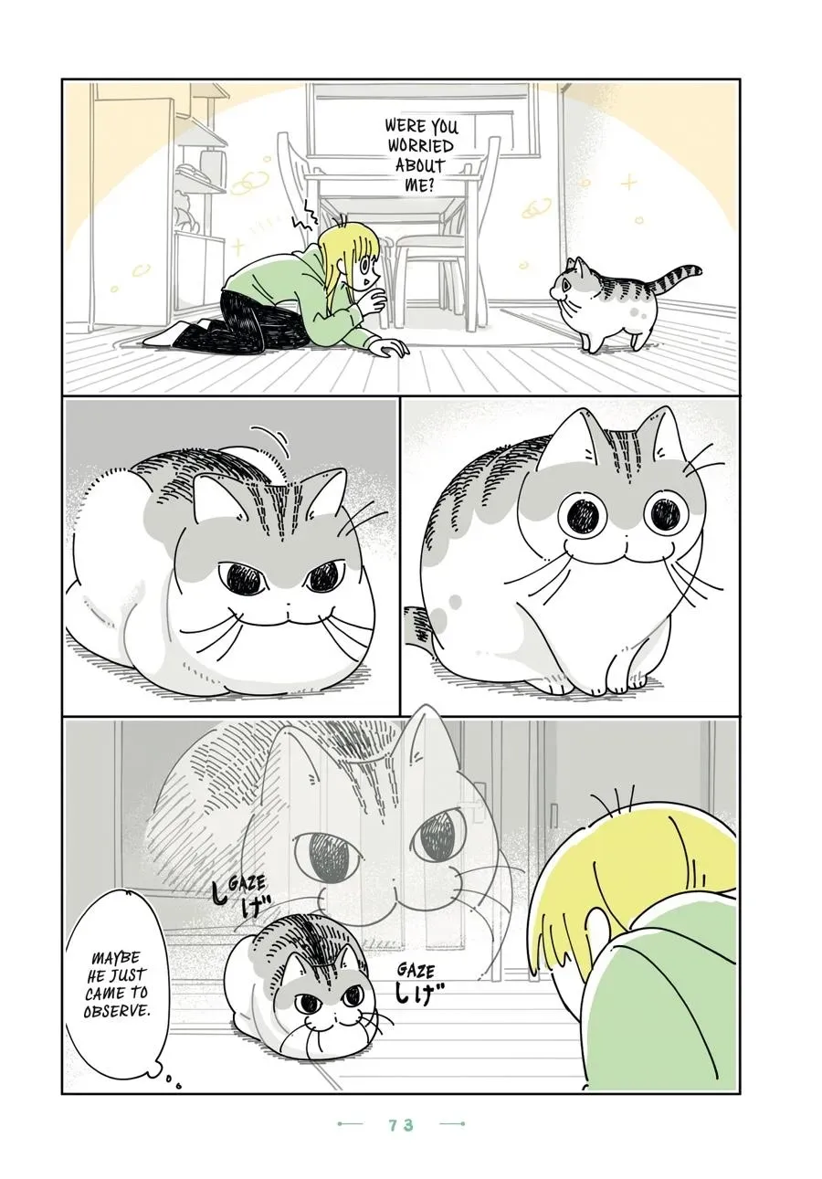 Nights With a Cat Chapter 0 page 74 - 