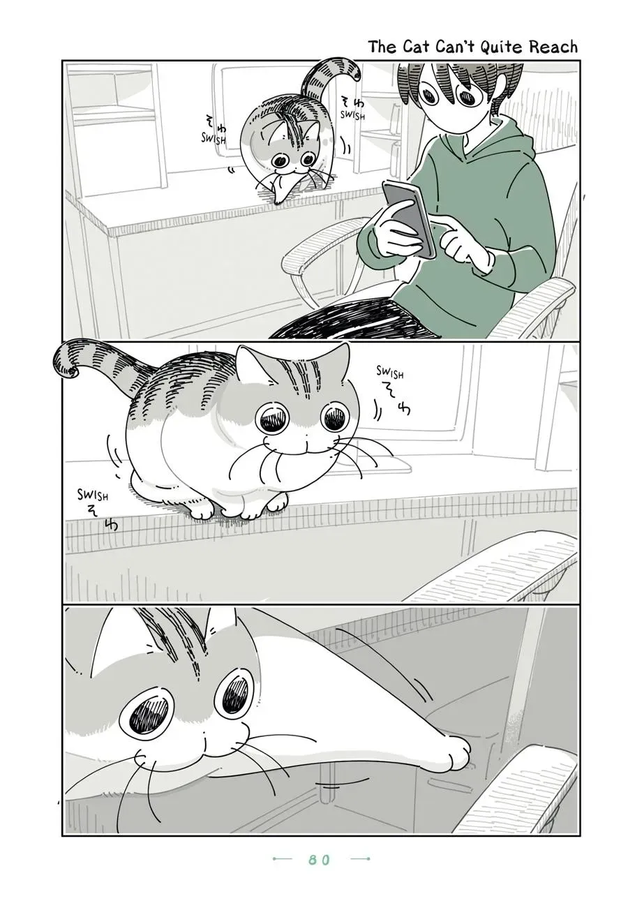 Nights With a Cat Chapter 0 page 81 - 