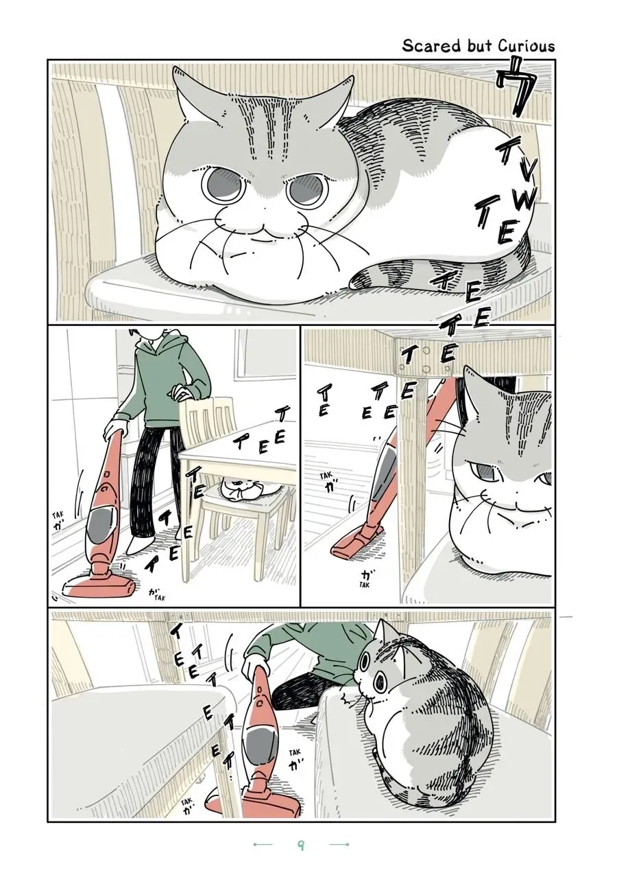 Nights With a Cat Chapter 0 page 10 - 