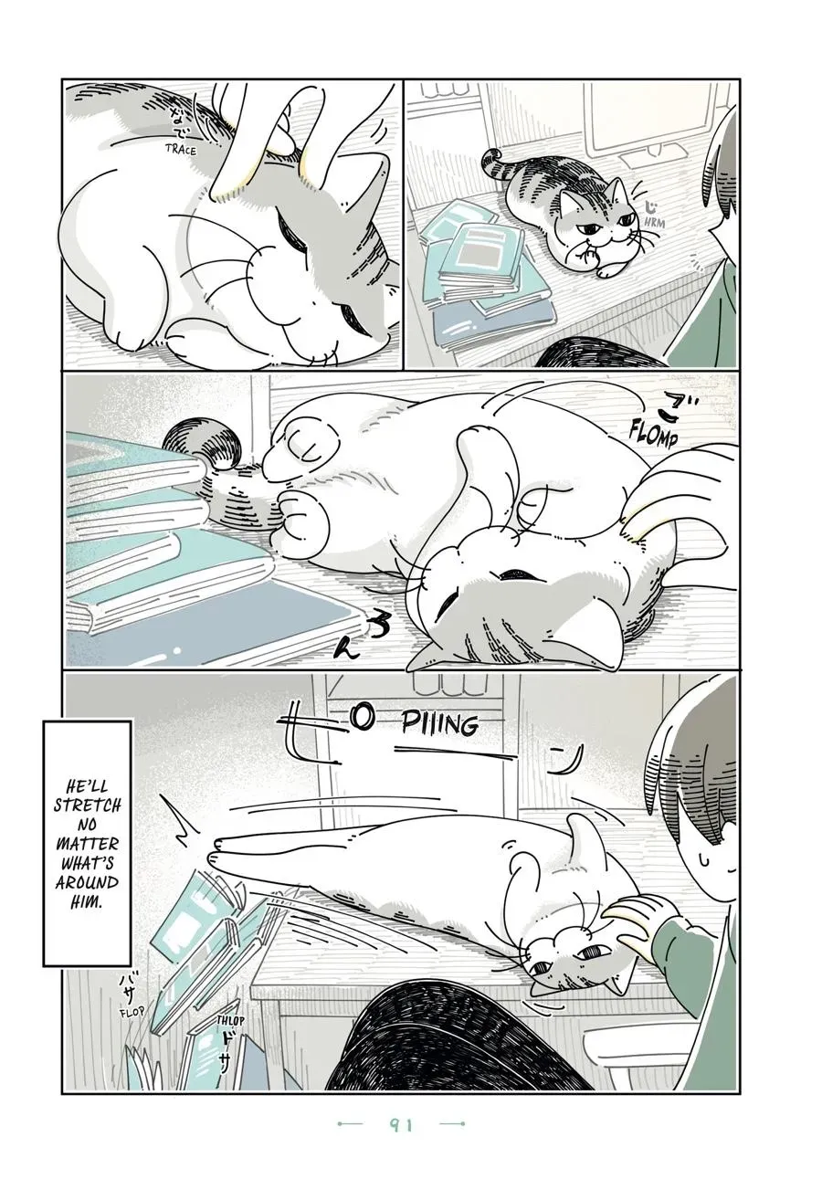 Nights With a Cat Chapter 0 page 92 - 
