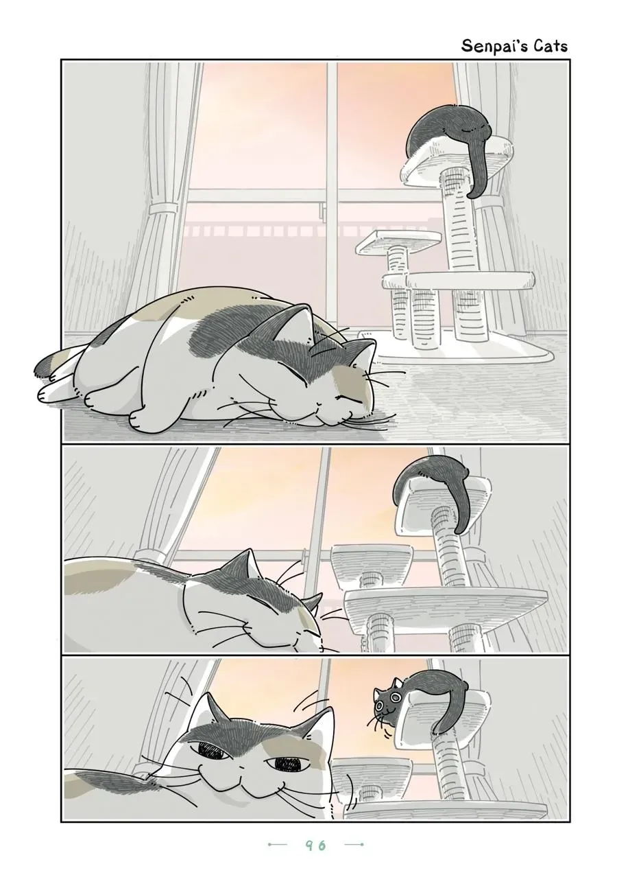 Nights With a Cat Chapter 0 page 97 - 